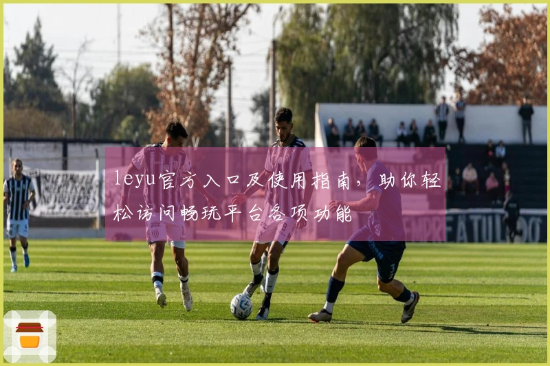 leyu官方入口及使用指南，助你轻松访问畅玩平台各项功能