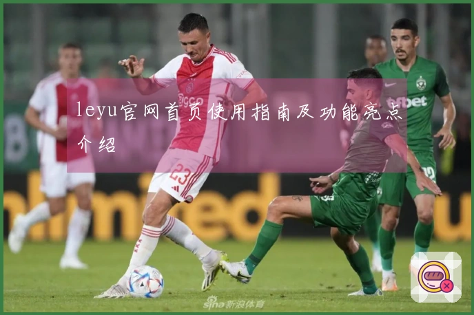 leyu官网首页使用指南及功能亮点介绍