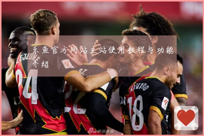 乐鱼官方网站主站使用教程与功能介绍