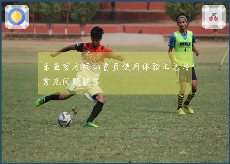 乐鱼官方网站首页使用体验汇总与常见问题解答