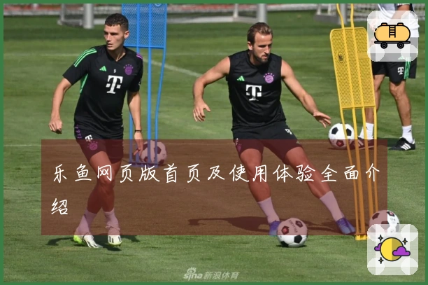 乐鱼网页版首页及使用体验全面介绍