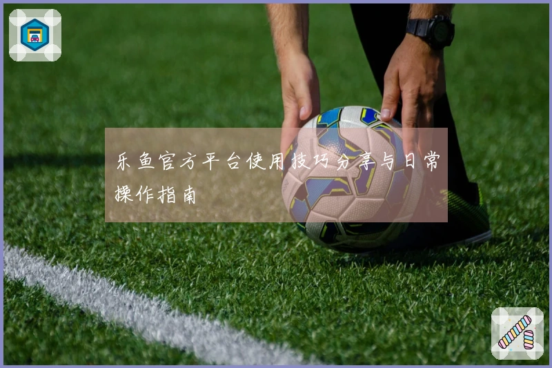 乐鱼官方平台使用技巧分享与日常操作指南